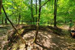 Waldsofa Tobis-Gruppe